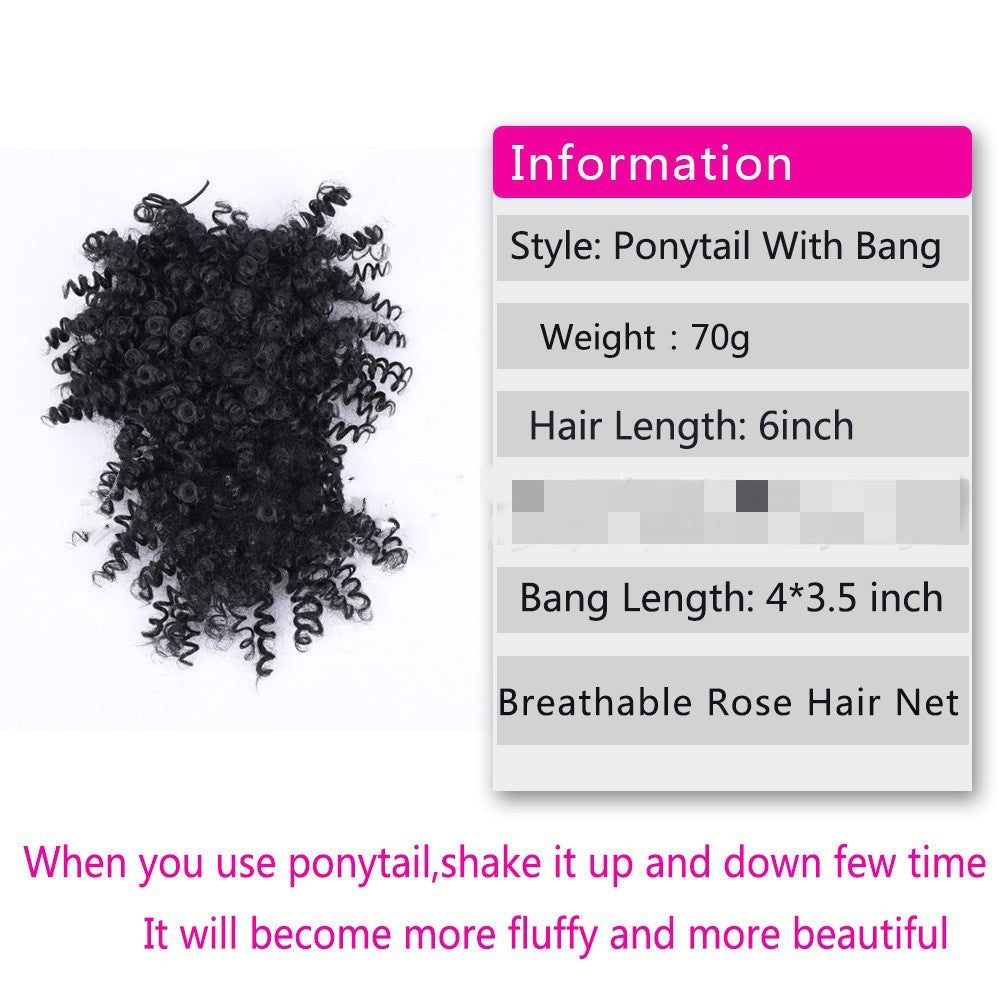 Explosive Hair Bag Bangs Wig Short Curly Ponytail Bract